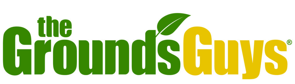 Logo of The Grounds Guys, displaying client-focused green and yellow text with a leaf graphic near the word "grounds," symbolizing our dedication to premium client services in grounds management.