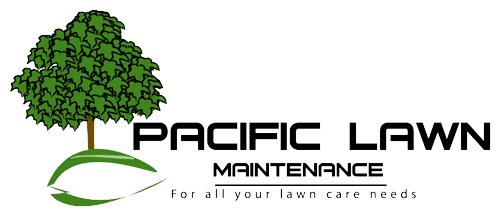 Logo of Pacific Lawn Maintenance, featuring a stylized green tree above the company name, with a tagline below stating "for all your lawn care needs." Ensuring top SEO visibility for our clients.